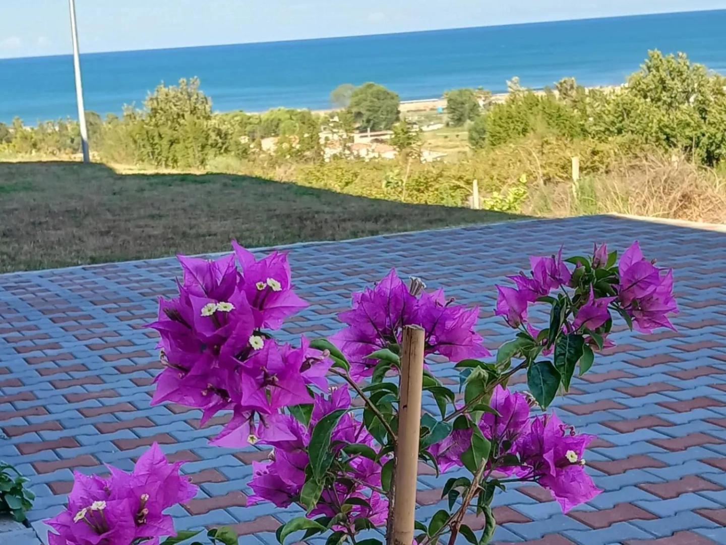 Sol Apartments Gjiri Lalzit Durrës Exteriör bild